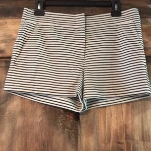 Bcbg Maxazria shorts